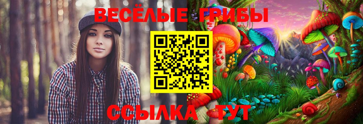Псилоцибиновые грибы Psilocybine cubensis  Псилоцибиновые грибы MAGIC MUSHROOMS  Вход с VPN  Городец 