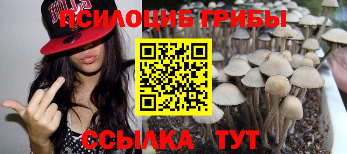 Псилоцибиновые грибы Magic Shrooms Городец